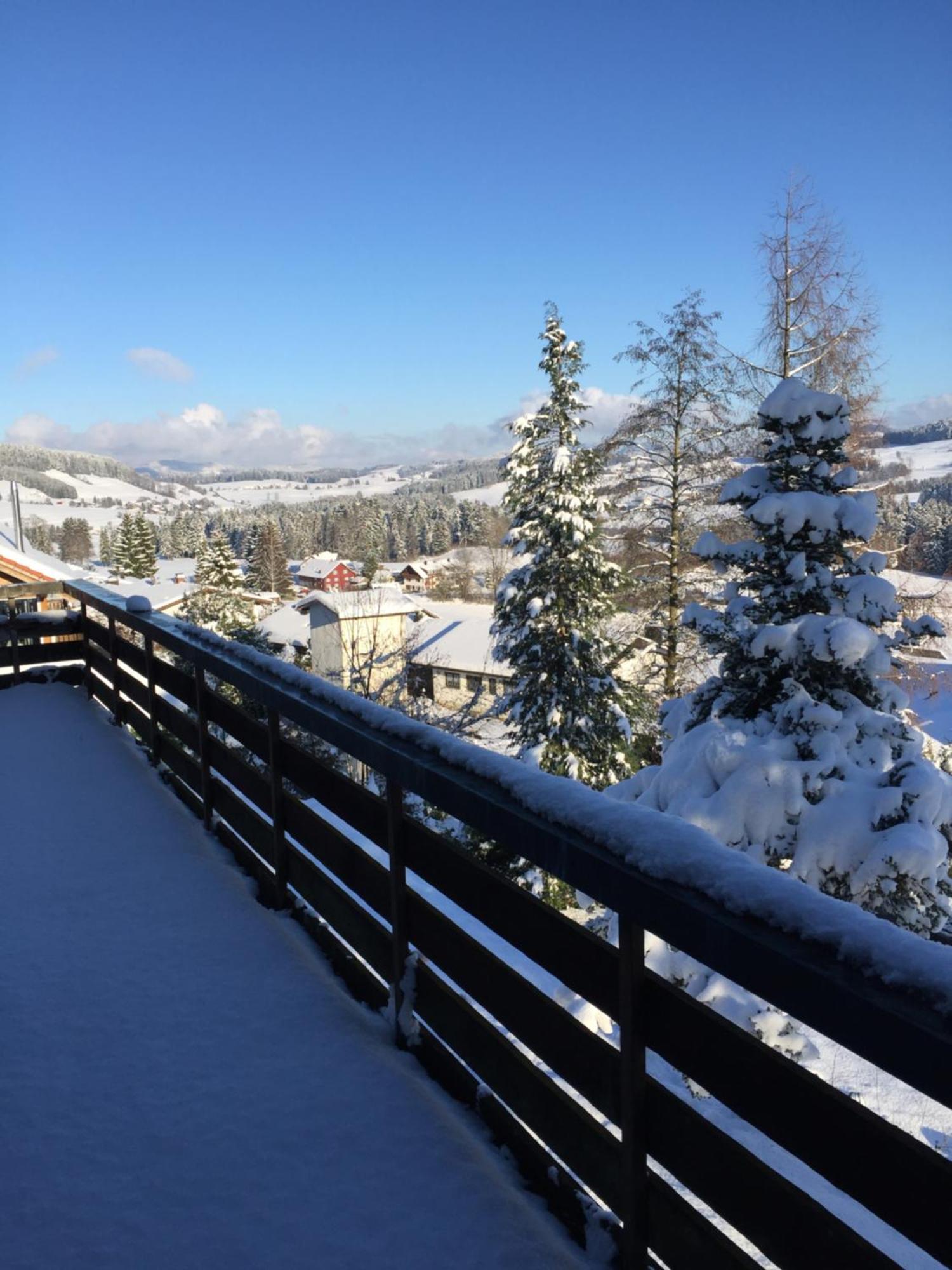 Panoramaapart - Alpzeit Im Westallgaeu Oberreute Exterior foto